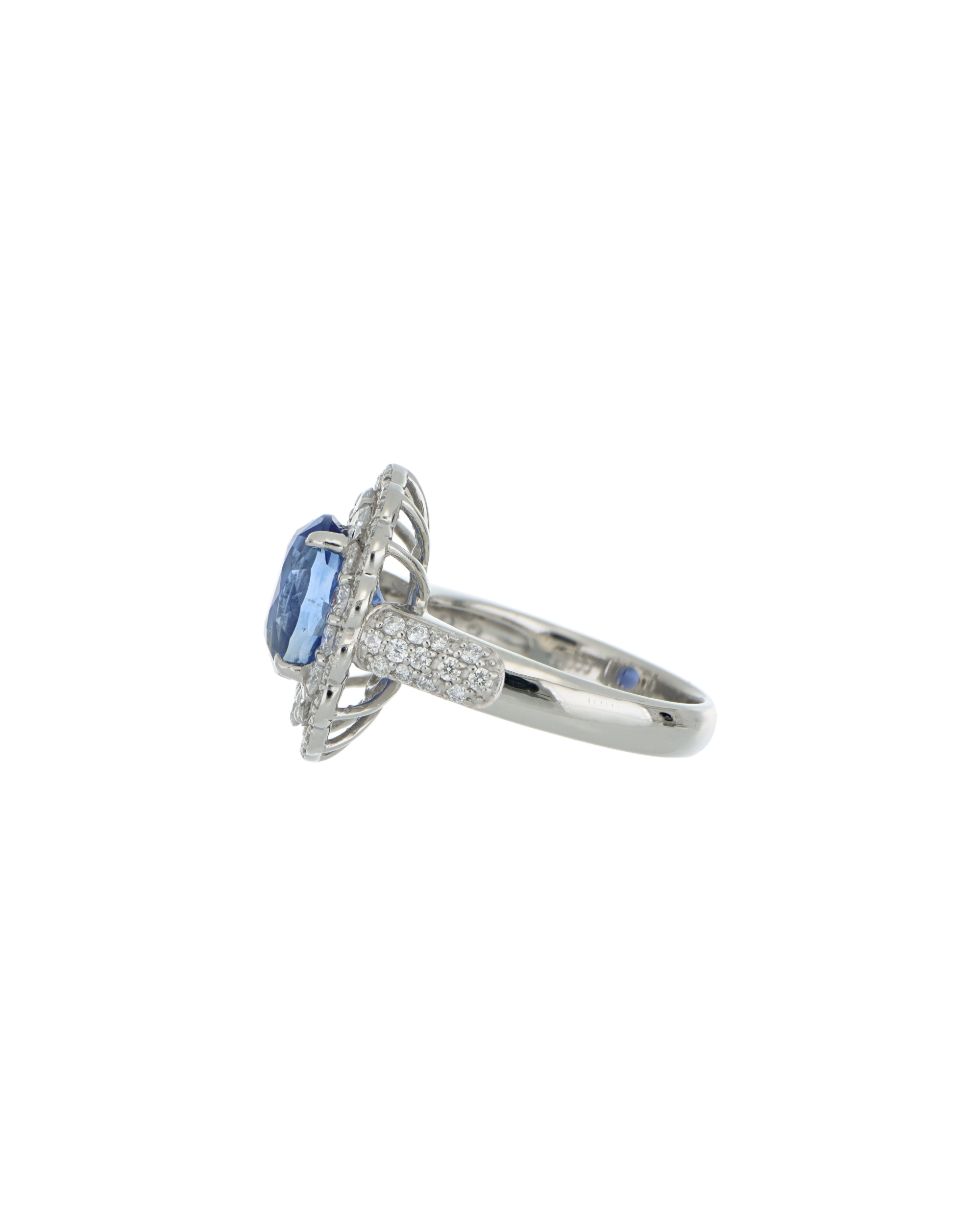 Image 2000 X 2500