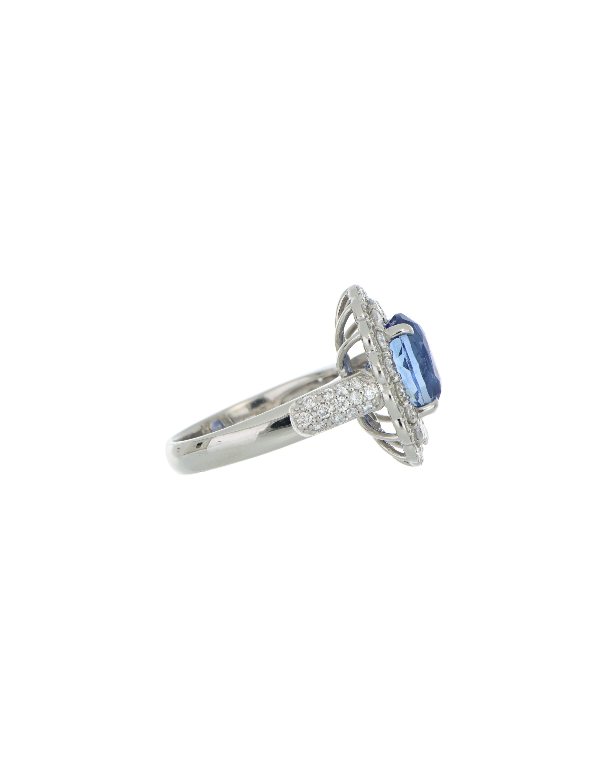 Image 2000 X 2500