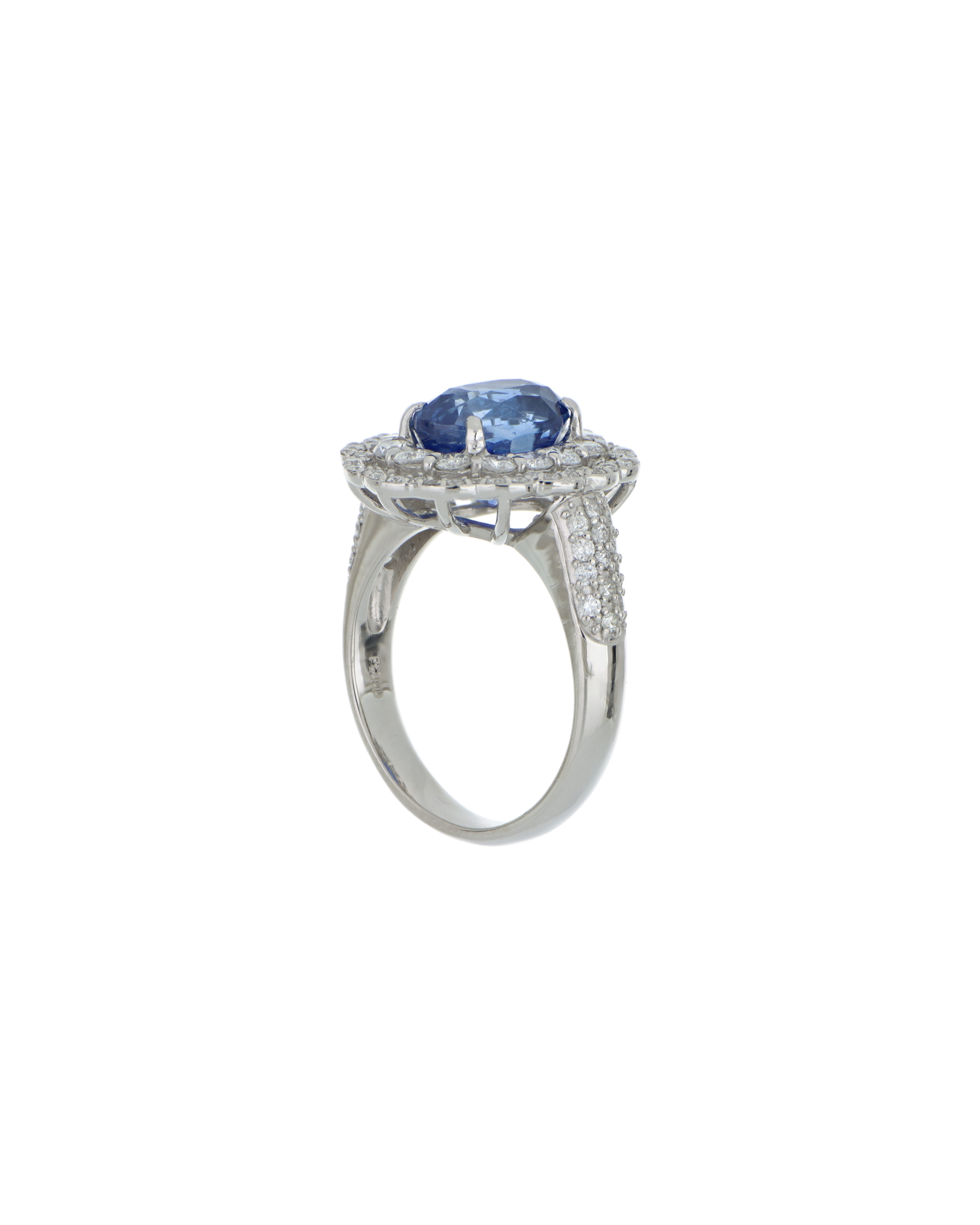 Image 2000 X 2500