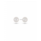 ドラフト-70204171001