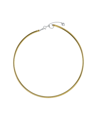 Double-Sided Necklace in Dual Gold