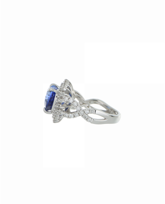 Webp Image 1200 x 1500