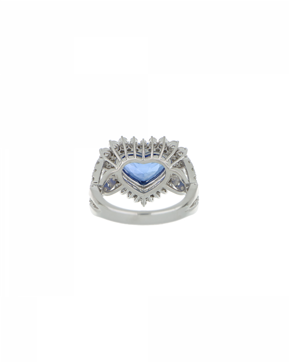 Webp Image 1200 x 1500