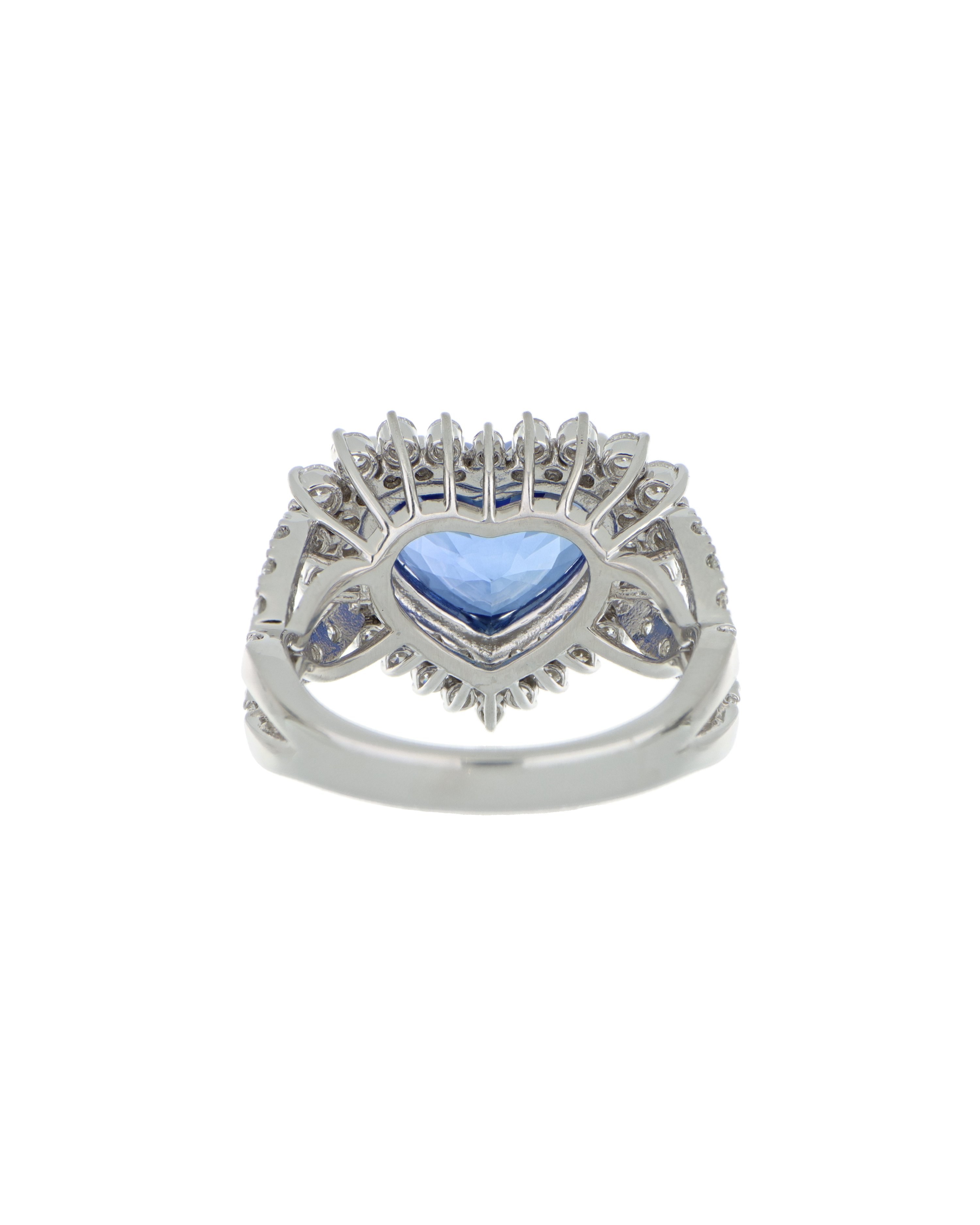 Image 3000 x 3750 